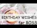 The Best 9 Happy Birthday Boss Funny Message