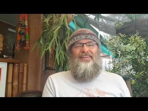 ACIM WB Lesson 39 ~ A COURSE IN MIRACLES WORKBOOK LESSONS ~ 365 DAYS W/ DAVE PHARE