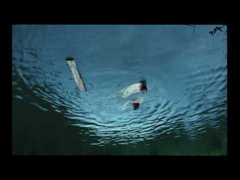 Tin Fingers - Lullabye For Losers (Official Video)