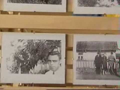 Baltoskandijos akademija (Panevėžys)