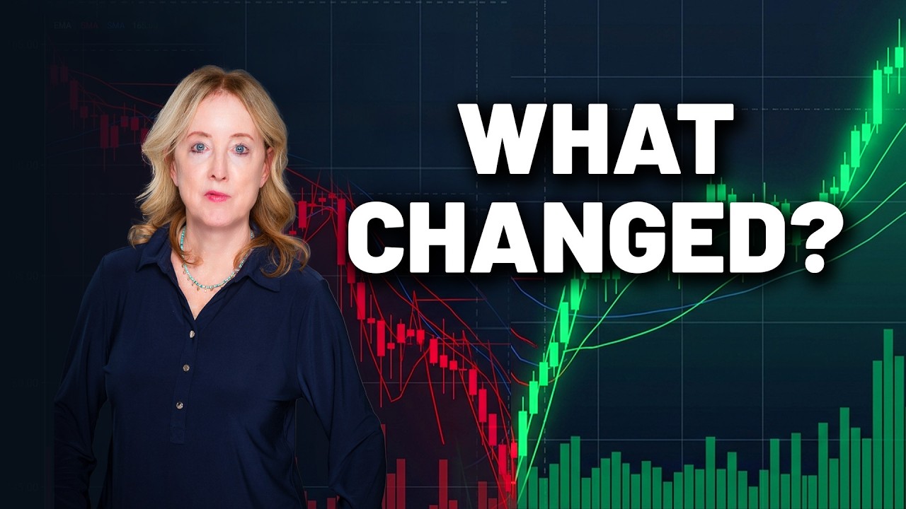 Not Even Bad News Could Stop This Rally