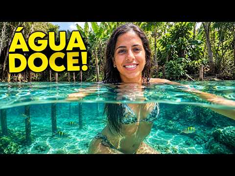 PUREZA: O paraíso de águas cristalinas escondido do RIO GRANDE DO NORTE!