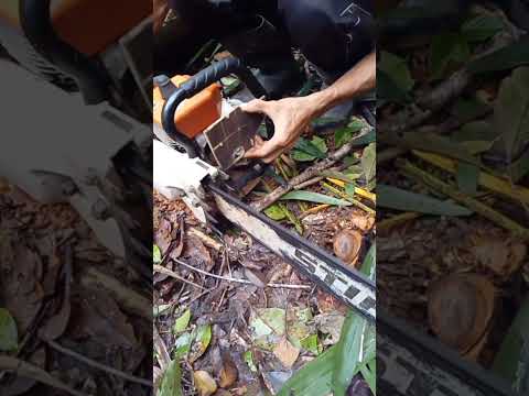 Quick Cleaned Stihl 070 Air Filter #diy #tutorial #tips #tricks #chainsaw