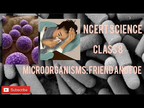 Microorganisms: Friend and Foe | Class 8 | Science NCERT