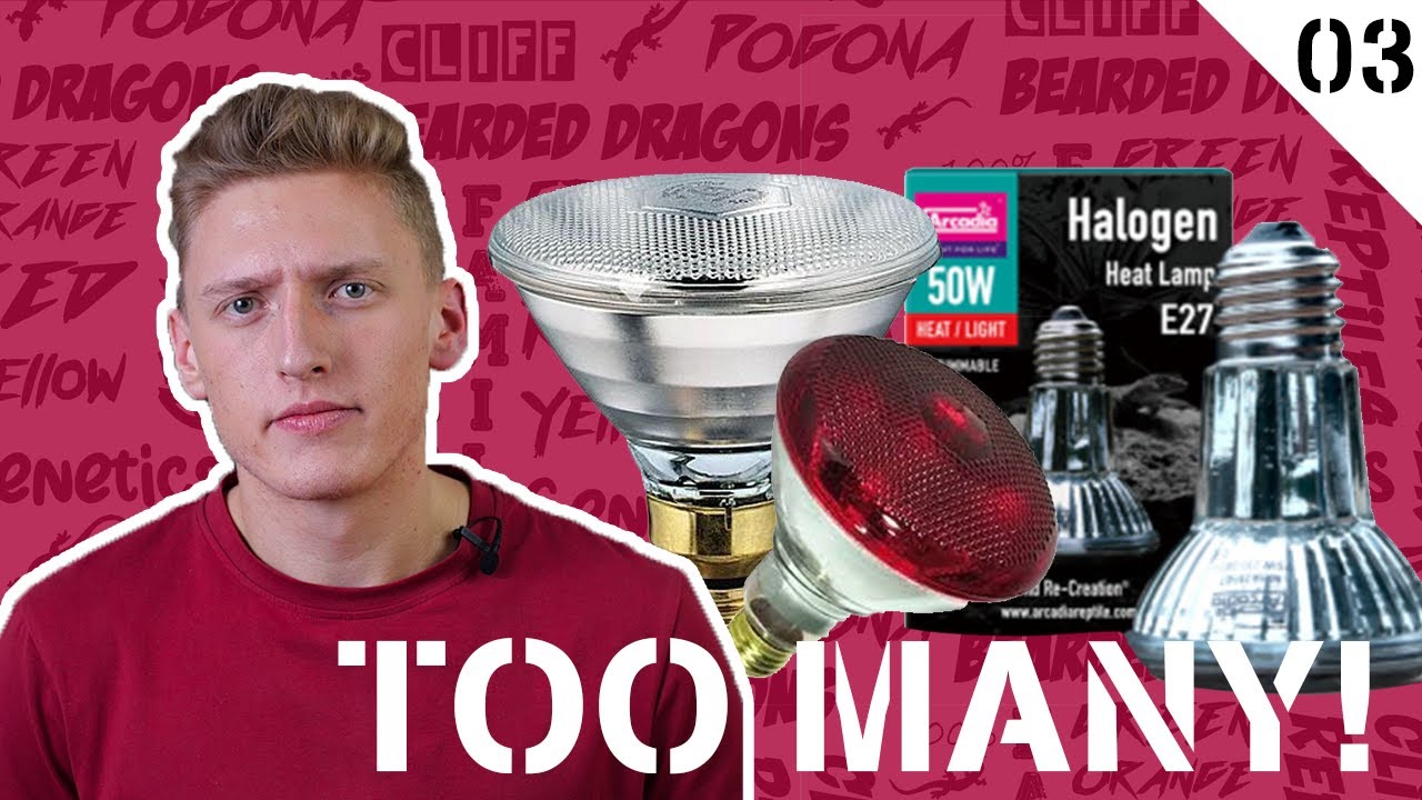 What Heat Bulb Is Best for Bearded Dragons | CRTV S1:E3