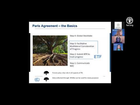How to prepare for the transition from the measurement, reporting and verification (MRV) framework