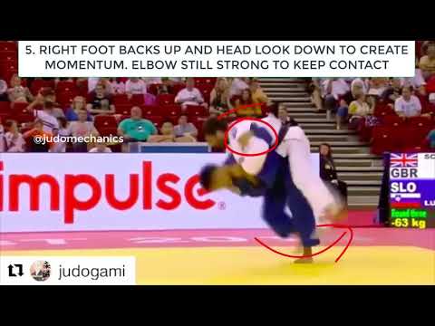 Mechanic of Ippon-seoi-nage