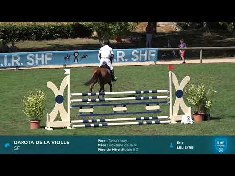 CIR SHF 2018 - CSO Cluny 5 ans - Dakota de la Violle