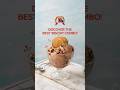 Prince Biscuit Best Combos