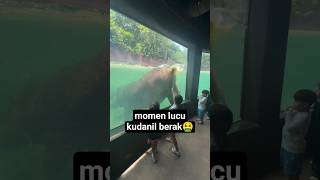 Download lagu MOMEN LUCU KUDANIL BERAK mp3 Download lagu MOMEN LUCU KUDANIL BERAK mp3