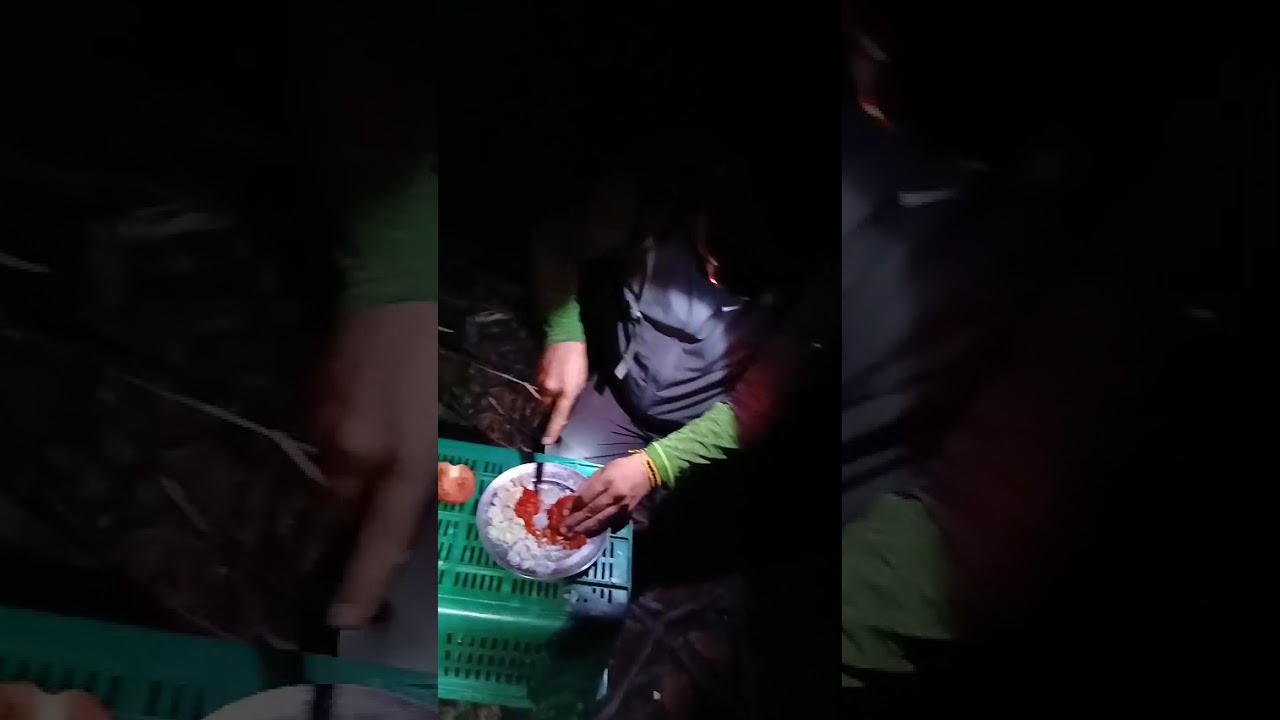 Video 3 de la galería: expedición en la Amazonía peruana