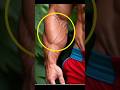 Top 5 Dumbbell Forearm Workout