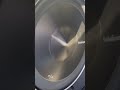 Rockford Fosgate P3 15 Subwoofer Bumpin