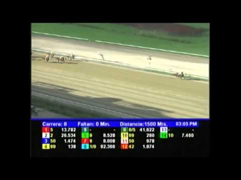 Resumen La Rinconada - Sábado 3 de noviembre de 2012