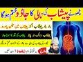 Chhote Peshaab Ka Ilaj Quranic Remedy For Frequent Urination Ruqyah Shariyah For Weak Bladder