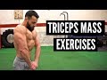 How To Build Massive Triceps At Home Quickly (No Equipment)