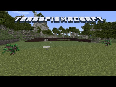 TerraFirmaCraft Reloaded 2: It was almost all over! Laying down the blueprint - Ep. 22