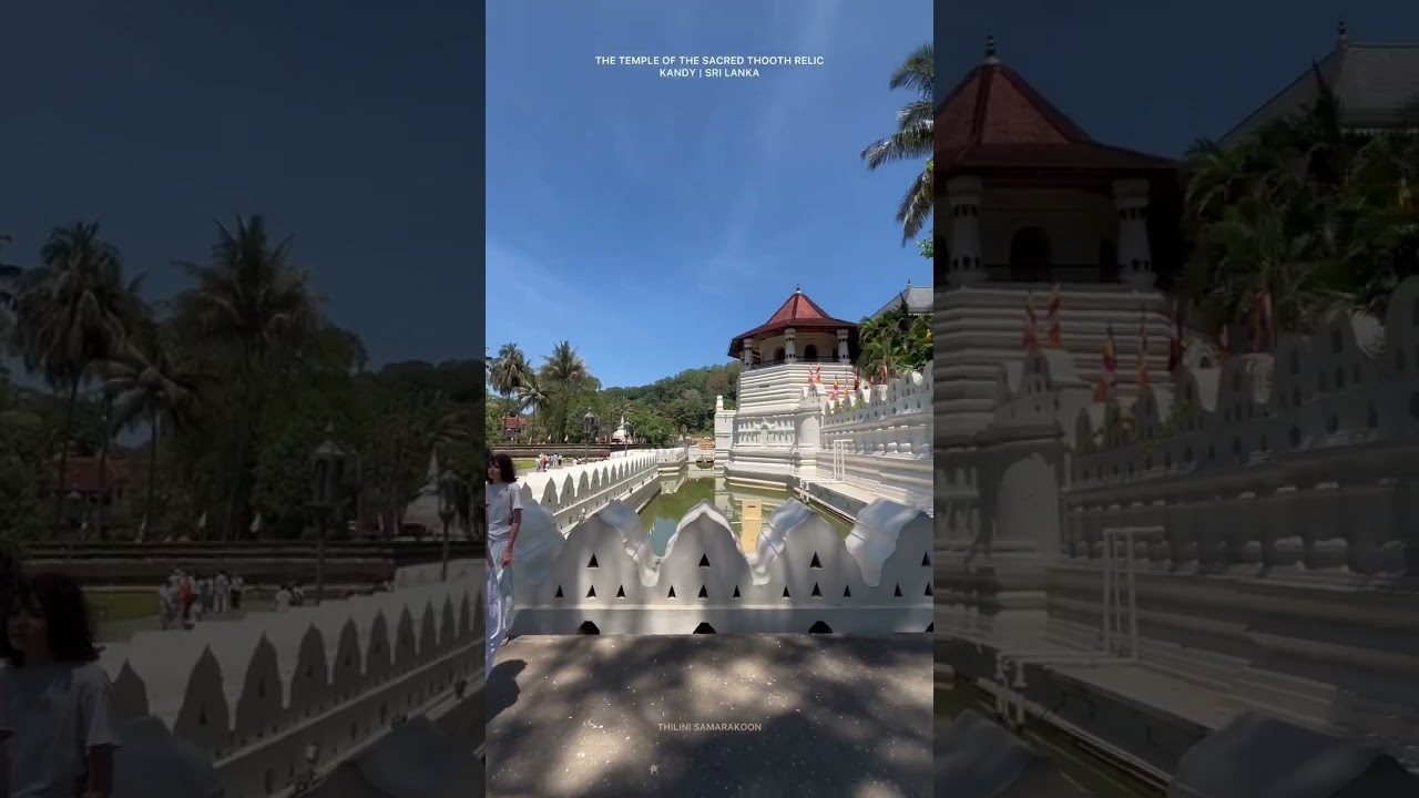 YouTube Short thumbnail