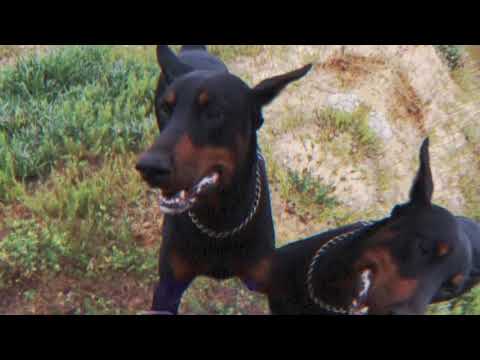 HELMOOO FT. HOOD - Wait On Me (Music Video)