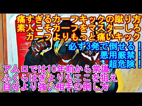 【モテ護身術002】痛すぎるカーフキックの蹴り方を解説！ カーフキックよりもっと痛いキックとは？ 素人こそカーフキックをマスターしろ！ ふくらはぎよりもここを狙え！ 超危険！ 悪用厳禁！ 3発で倒せる
