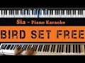 Sia - Bird Set Free - Piano Karaoke / Sing Along / Cover with Lyrics