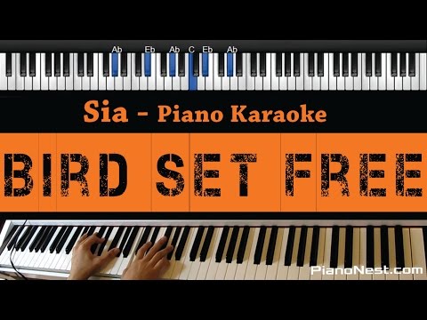 Sia - Bird Set Free - Piano Karaoke / Sing Along / Cover with Lyrics