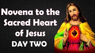 Novena to the Sacred Heart of Jesus – Day 2 | The Heart Pierced for Our Sins