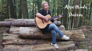 Video Pařezy (home nahrávka+slideschow), Alice Maule -  text,hudba...