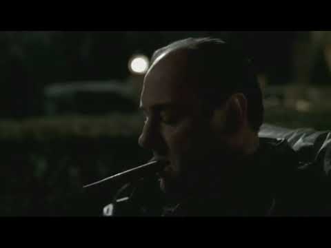Tony Soprano smoking cigar🚬 and guarding his family with an AK-47. The american dream.