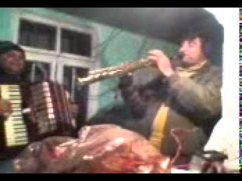 lautarii din govora sat la ciupercea