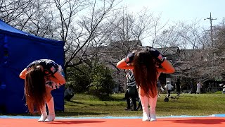 実籾本郷公園さくらまつり SEA Cheer②