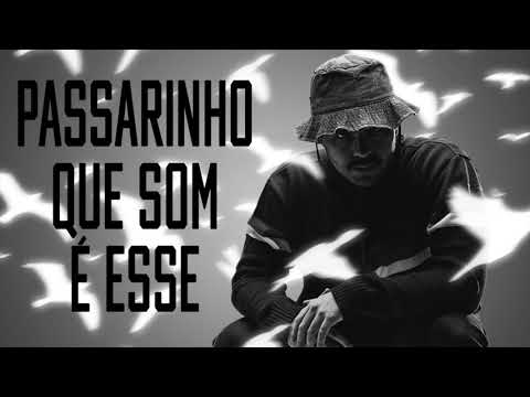 DJ TOPO, MC CYCLOPE, MC PR - PASSARINHO QUE SOM É ESSE