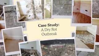 Album cover: Case Studies