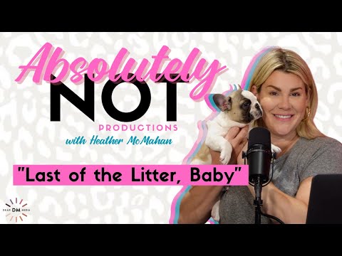 Last of the Litter Baby | Absolutely Not with Heather McMahan February 22nd