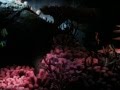 The Seas With Nemo And Friends Epcot Disney World