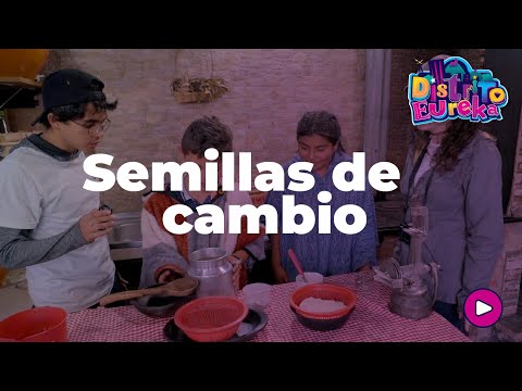DISTRITO EUREKA - SEMILLAS DE CAMBIO