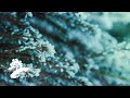 The Chris McDonald Orchestra - In The Mood For Christmas [Christmas Visualizer]