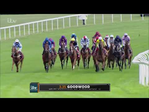 Stradivarius wins the Qatar Goodwood Cup