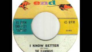 The Flamingos I Know Better