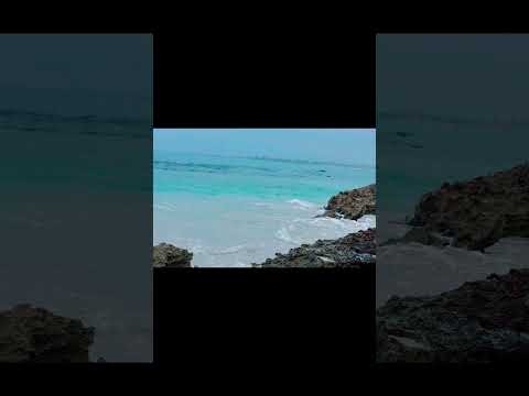 #nasheed #australia #beach #beachlife #beachvibes #westernaustralia #perthlife #perth #ocean #water