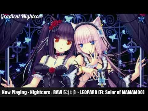 【Nightcore】→ RAVI (라비) ~ LEOPARD (Feat. Solar of MAMAMOO)