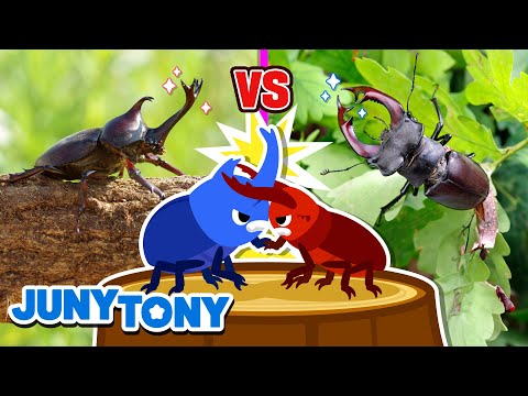 Jaws vs. Horns - The Match of Strength | Insects for Kids | Kids Songs & Stories | JunyTony