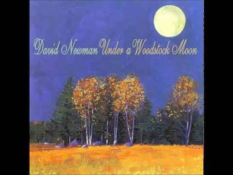 Summertime - David 