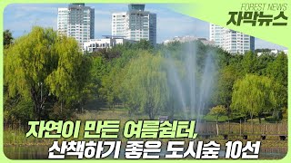 산책하기 좋은 도시숲 10선 발표