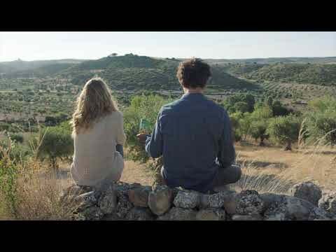 Aceitunas FRAGATA (2009)