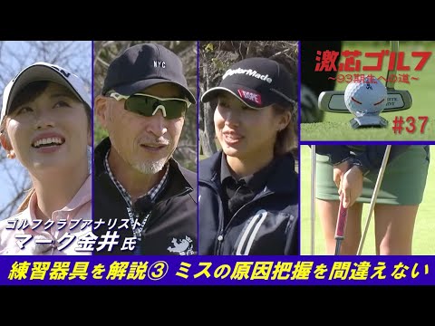 トイガー:知的で遊び心のある、夢中になるミニトラ