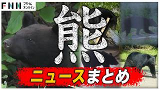 【まとめ】アーバンベア急増…市街地でクマの目撃相次ぐ