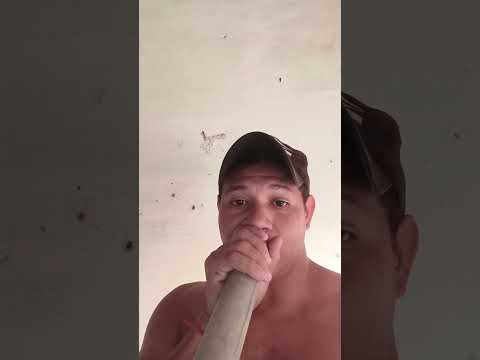 Comunicado De Denúncia De Som Alto Em Cachoeirinha-Domingos Mourão / Piauí