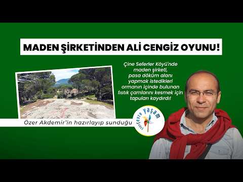 Fıstık çamlarını kesmek için tapuları kaydırdılar! | Çepeçevre Yaşam