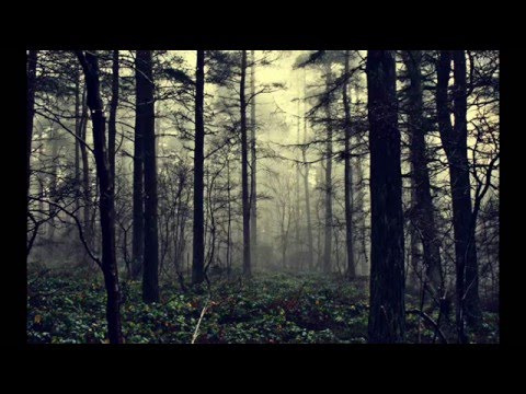 Way Out West - The Fall (Bedrock Mix)